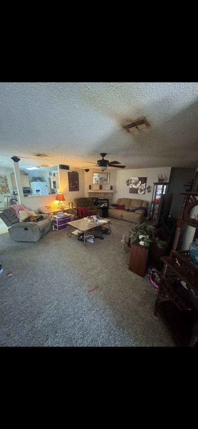 5417 Lansdowne Ave, Fort Worth, TX 76135 - carpeted living area with a textured ceiling