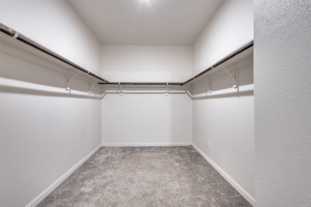 788 Cascade Ln, Princeton, TX 75407 - walk in closet featuring carpet floors