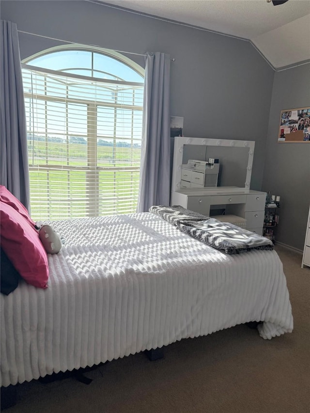 240 County Road 12550, Paris, TX 75462 - bedroom with carpet, lofted ceiling, and radiator heating unit