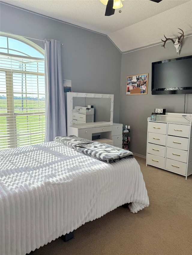 240 County Road 12550, Paris, TX 75462 - carpeted bedroom featuring lofted ceiling and a ceiling fan