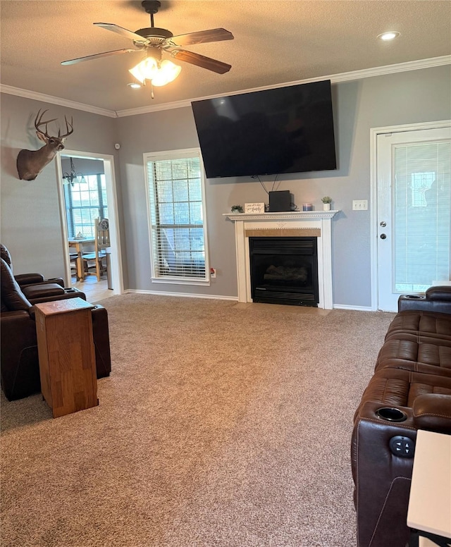 240 County Road 12550, Paris, TX 75462 - living area with carpet floors, ornamental molding, ceiling fan, a fireplace, and a textured ceiling