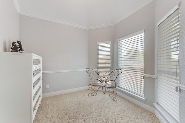 12748 Oakvale Trl, Fort Worth, TX 76244 - sitting room with ornamental molding, carpet, and baseboards