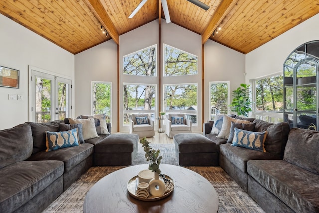 215 N Beverly Dr, Malakoff, TX 75148 - living room with wood ceiling with exposed beams, high vaulted ceiling, plenty of natural light, french doors, and track lighting