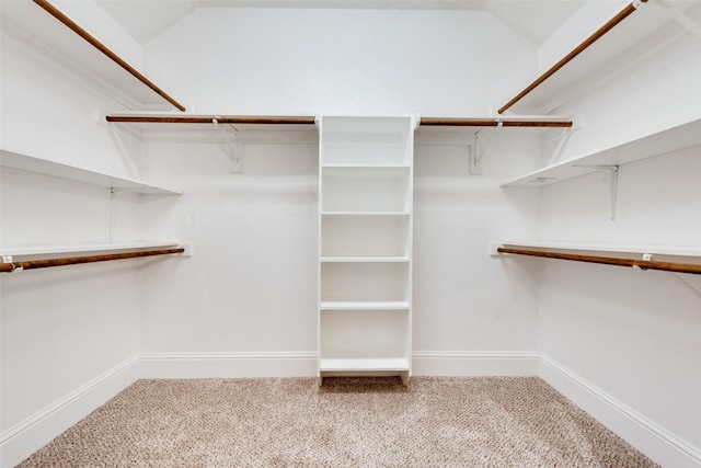 2917 Cascade Dr, Plano, TX 75025 - spacious closet featuring carpet flooring and vaulted ceiling