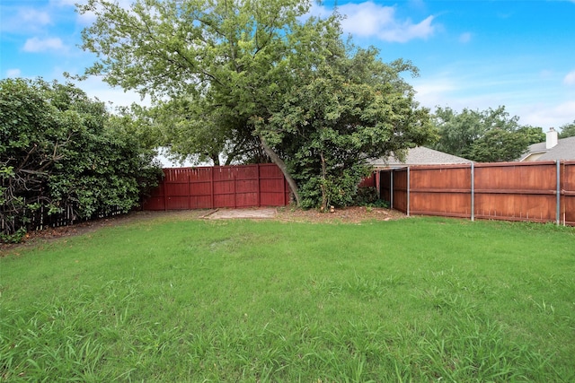 2917 Cascade Dr, Plano, TX 75025 - view of yard