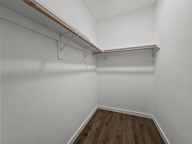 102 Bois D Arc St, Whitesboro, TX 76273 - walk in closet with dark wood-type flooring