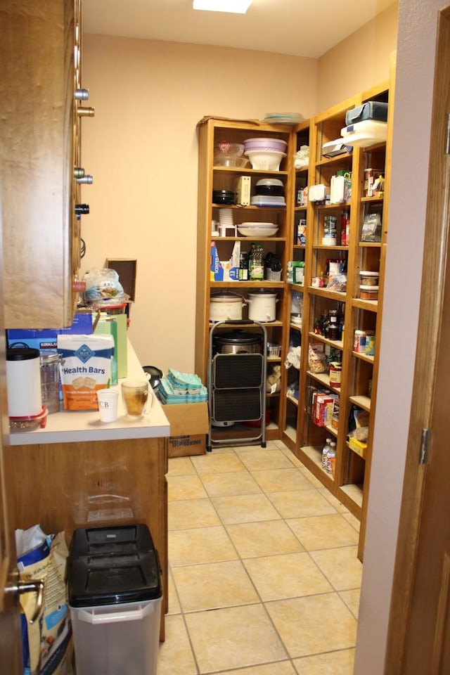 801 County Road 313, Eastland, TX 76448 - view of storage area