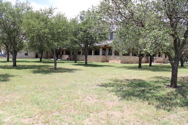 801 County Road 313, Eastland, TX 76448 - view of green lawn
