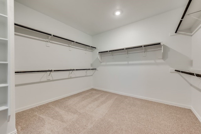 801 Enys Way, Mckinney, TX 75069 - walk in closet with carpet