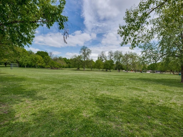 916 Shadyside Ln, Dallas, TX 75223 - view of yard