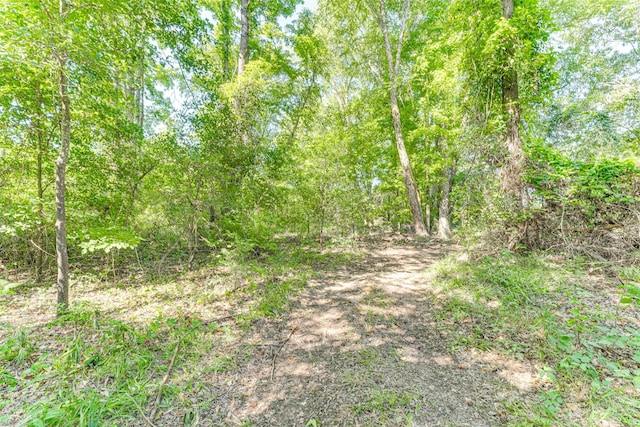 890 Fm 275, Emory, TX 75440