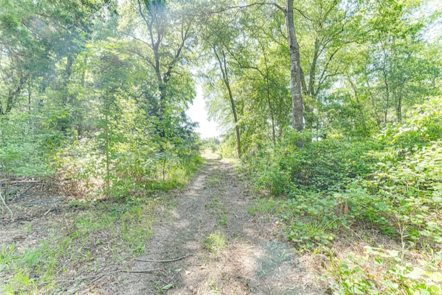 890 Fm 275, Emory, TX 75440