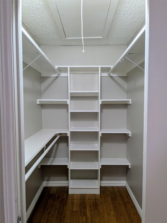 7525 Holly Hill Dr Unit 68, Dallas, TX 75231 - walk in closet with attic access and dark wood-type flooring