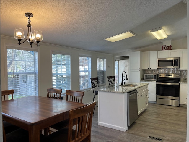 120 County Road 1719, Clifton, TX 76634 - kitchen with appliances with stainless steel finishes, a sink, healthy amount of natural light, dark wood-style floors, and vaulted ceiling