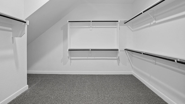 105 Leon Ave, Rhome, TX 76078 - spacious closet with vaulted ceiling and carpet