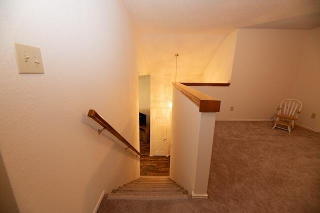 1111 Bayshore St, Allen, TX 75002 - stairway featuring carpet and baseboards