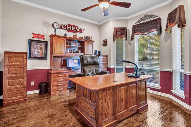 15741 Big Horn Trl, Frisco, TX 75035 - office area with dark wood finished floors, a ceiling fan, baseboards, and ornamental molding
