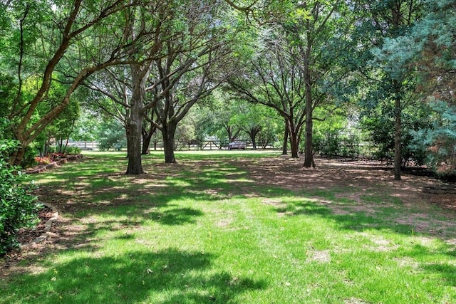 15741 Big Horn Trl, Frisco, TX 75035 - view of green lawn