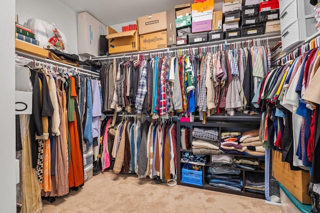 3620 Brahman Ct, Mckinney, TX 75071 - walk in closet featuring carpet floors