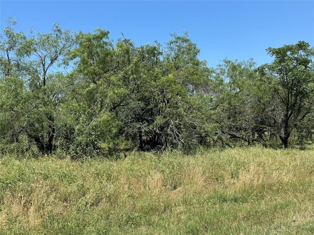 21092 Trailwood Dr, Whitney, TX 76692