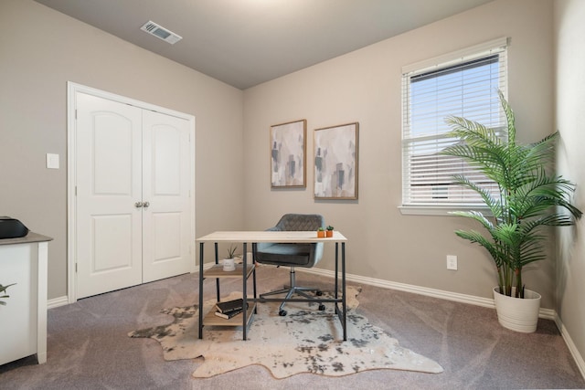123 Cedar Elm Ln, Nevada, TX 75173 - office space with carpet and baseboards