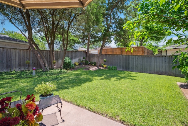 10930 Ridgemeadow Dr, Dallas, TX 75218 - view of yard featuring a patio
