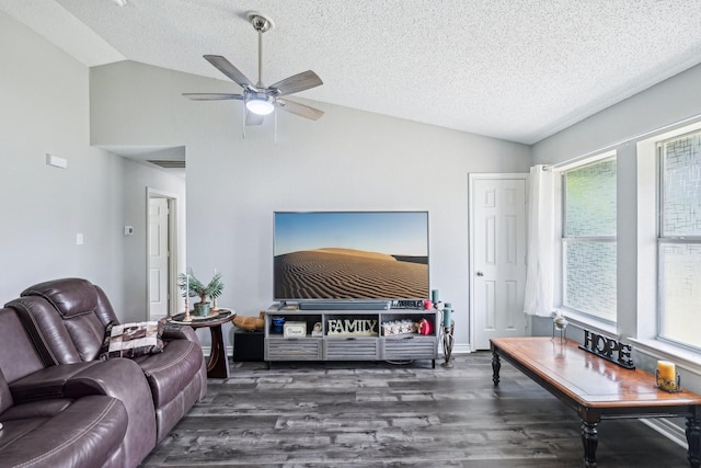 5789 Southfork Dr N, Royse City, TX 75189 - living room featuring lofted ceiling, wood finished floors, a textured ceiling, and a ceiling fan