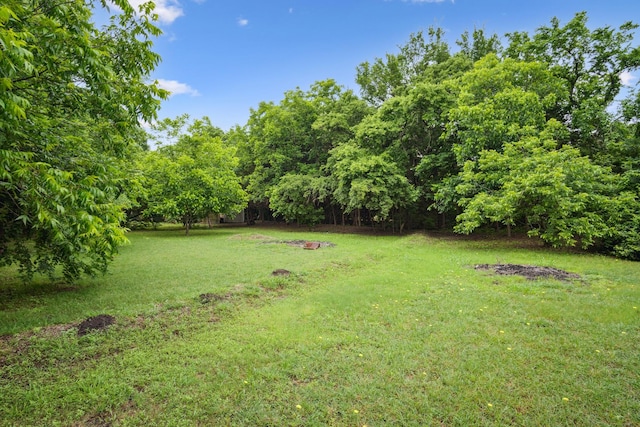 915 Cockrell Hill Rd, Ovilla, TX 75154 - view of grassy yard