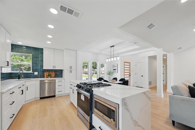 1429 Waterford Pl, Garland, TX 75044 - kitchen featuring stainless steel appliances, open floor plan, light wood finished floors, healthy amount of natural light, and recessed lighting