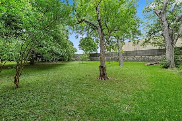 1210 Spring Lake Dr, Duncanville, TX 75137 - view of yard