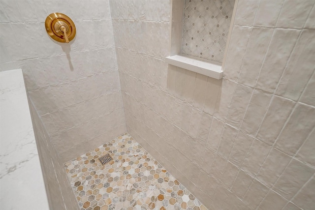 160 Solano Cir, Aledo, TX 76008 - bathroom view of tiled shower