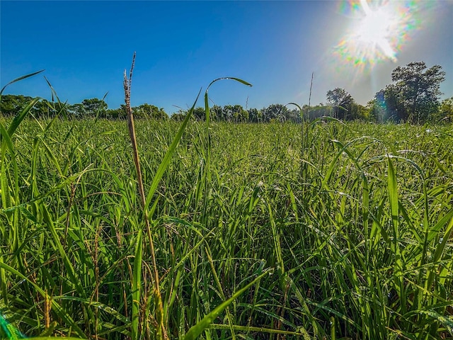 N/A Fm 2114 Road, Hubbard, TX 76648
