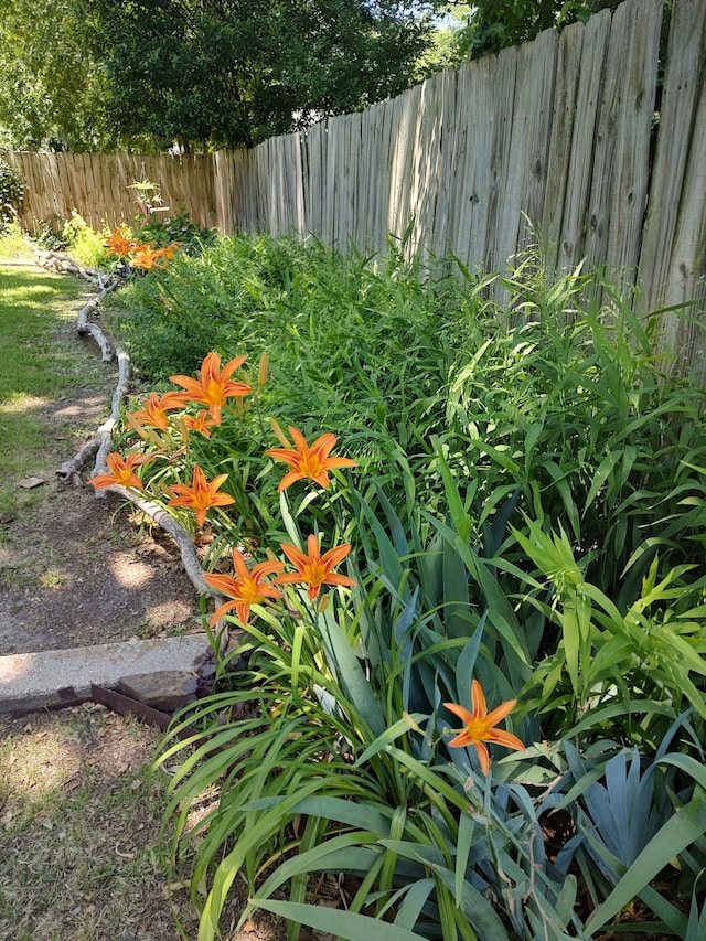 408 Davis St, Weatherford, TX 76086 - view of yard