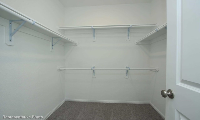 3806 Aqua Ln, Sherman, TX 75090 - walk in closet with dark carpet