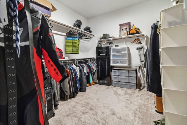 1424 Millican Ln, Aubrey, TX 76227 - walk in closet with carpet