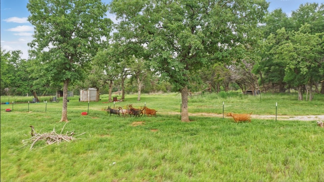 1152 Davenport Rd, Santo, TX 76472