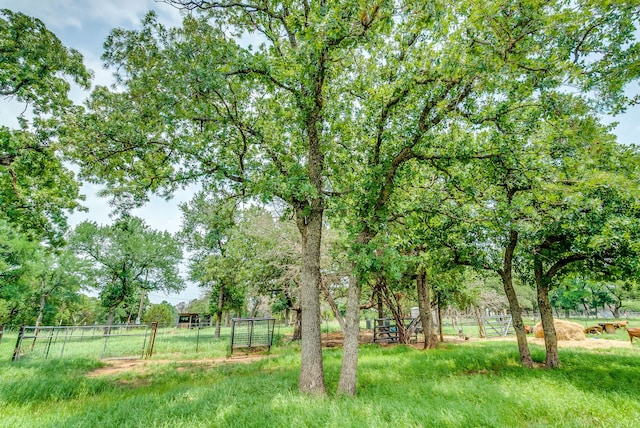 1152 Davenport Rd, Santo, TX 76472