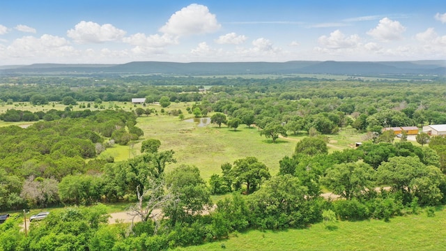 1152 Davenport Rd, Santo, TX 76472