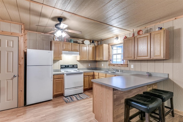 13914 Overlook Ln, Forney, TX 75126 - kitchen featuring white appliances, under cabinet range hood, a peninsula, a sink, and light wood-style floors