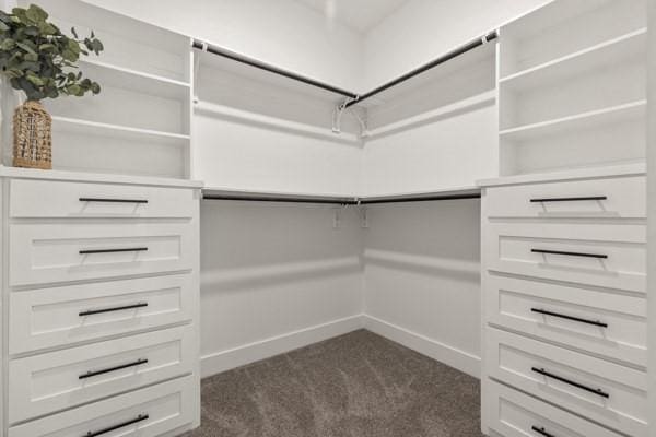 301 Bay Ct, Gun Barrel City, TX 75156 - spacious closet with dark carpet