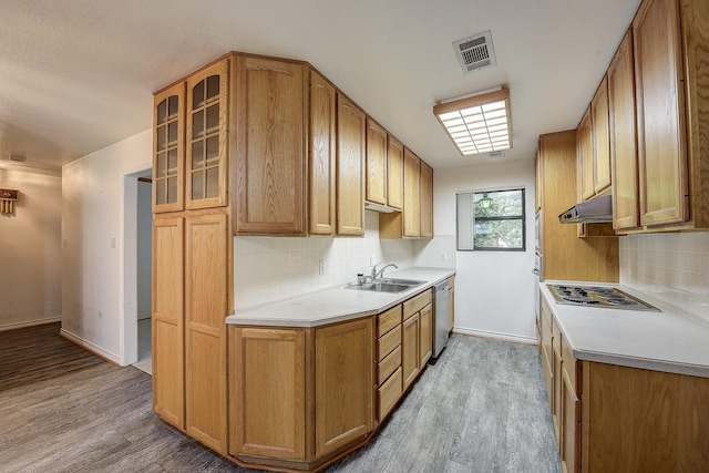 2947 Sinbad Cir, Farmers Branch, TX 75234 - kitchen featuring appliances with stainless steel finishes, under cabinet range hood, a sink, and wood finished floors