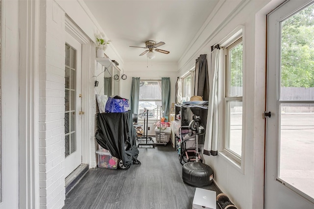 217 NE Rosamond St, Burleson, TX 76028 - sunroom / solarium with ceiling fan, wood finished floors, and crown molding