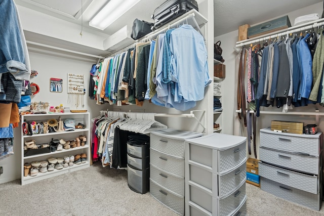 328 High Brook Dr, Richardson, TX 75080 - walk in closet with attic access and carpet floors