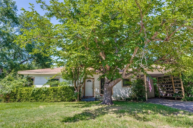 711 W State St, Terrell, TX 75160 - view of property hidden behind natural elements with a front yard and driveway