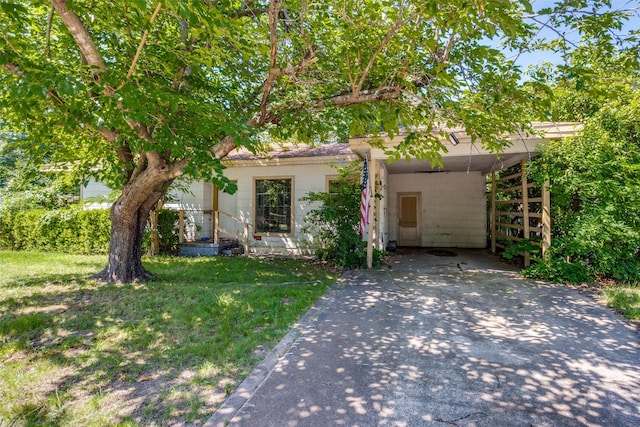 711 W State St, Terrell, TX 75160 - view of property hidden behind natural elements featuring asphalt driveway, a carport, and a front yard