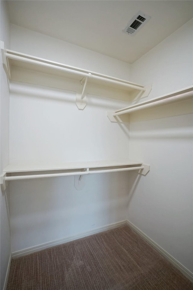 5133 Sunscape Ln S, Fort Worth, TX 76123 - walk in closet featuring carpet