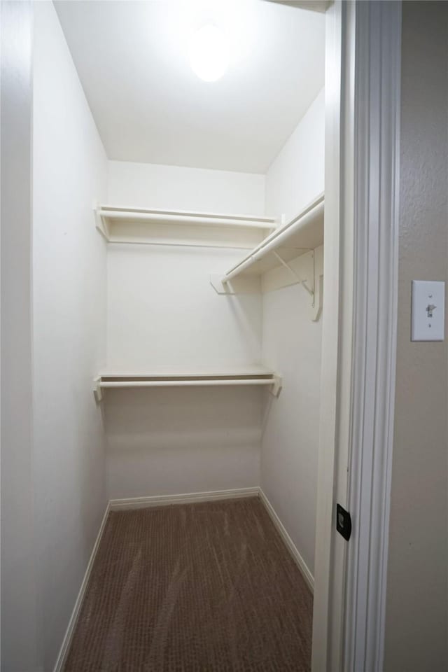 5133 Sunscape Ln S, Fort Worth, TX 76123 - walk in closet featuring carpet floors