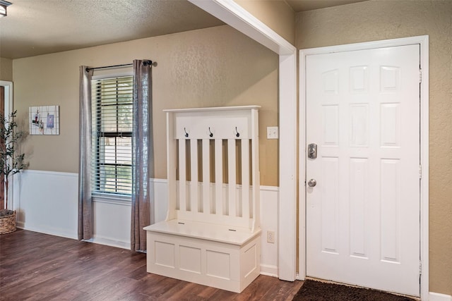 3701 Nocona Dr, Granbury, TX 76049 - foyer entrance featuring dark wood-style floors, a textured wall, a textured ceiling, and wainscoting