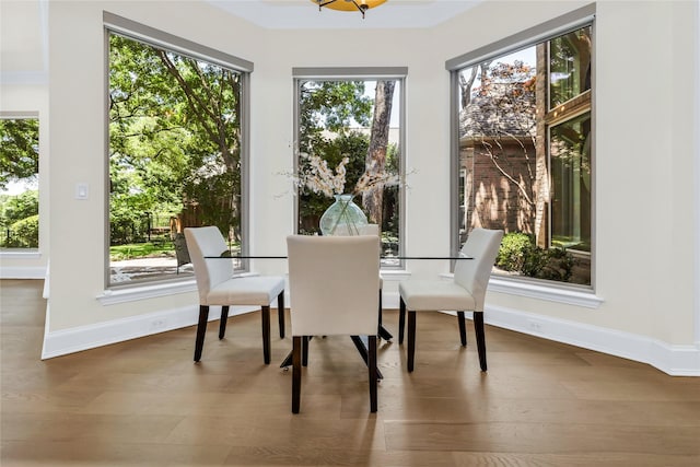 6628 Castle Pines Dr, Plano, TX 75093 - dining room with wood finished floors and baseboards
