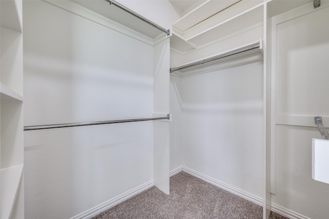 212 Cory Ct, Krum, TX 76249 - walk in closet featuring carpet floors